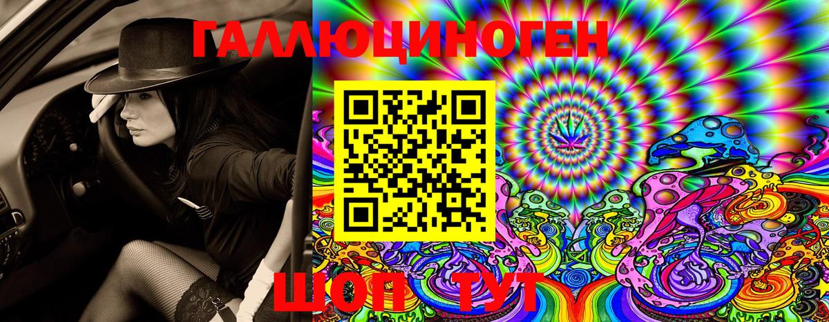 где можно купить   Вход с VPN  Шелехов  Галлюциногенные грибы мухоморы 